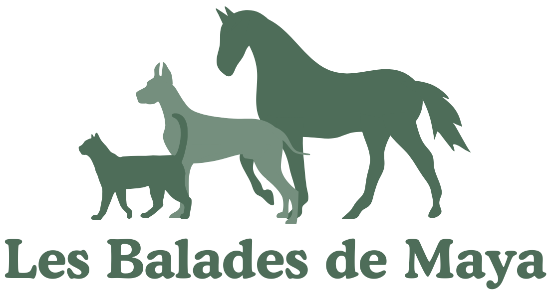 Logo les balades de maya
